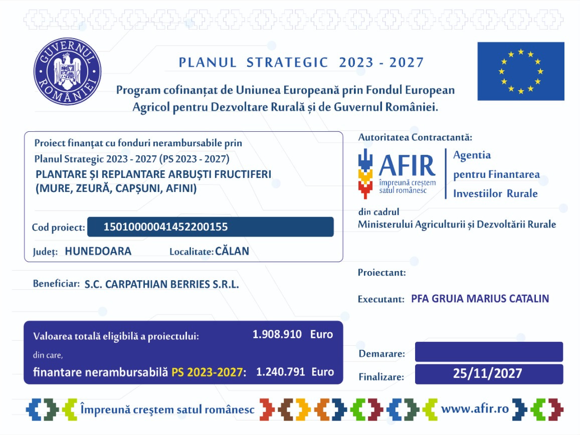 afir2025